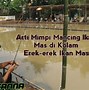 Mimpi Dapat Ikan Banyak Di Sungai Menurut Islam